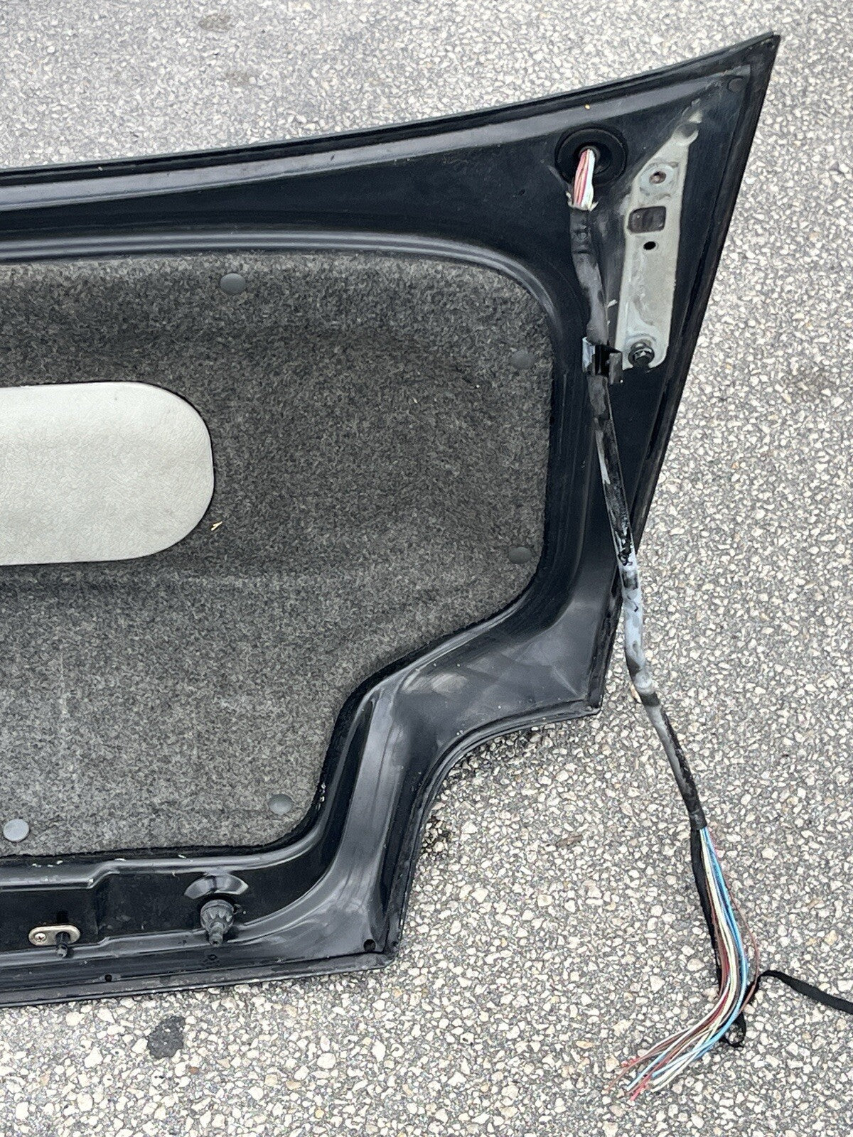 Image #14
