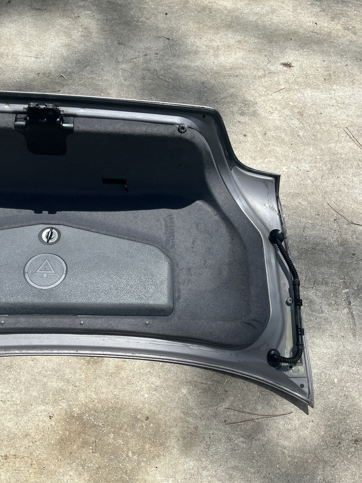 Image #8