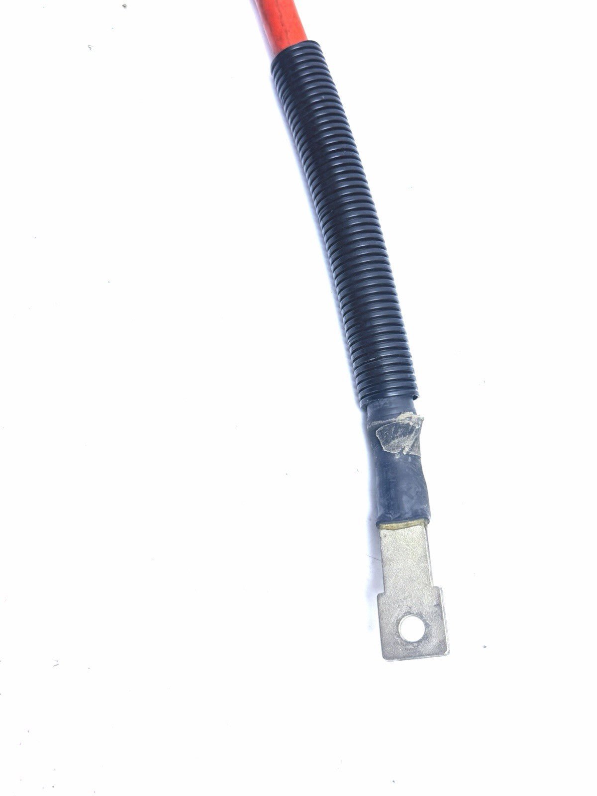 Image #11