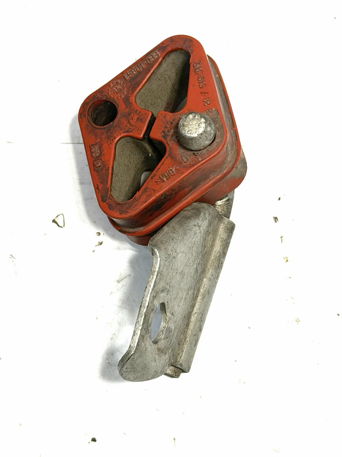 Image #6