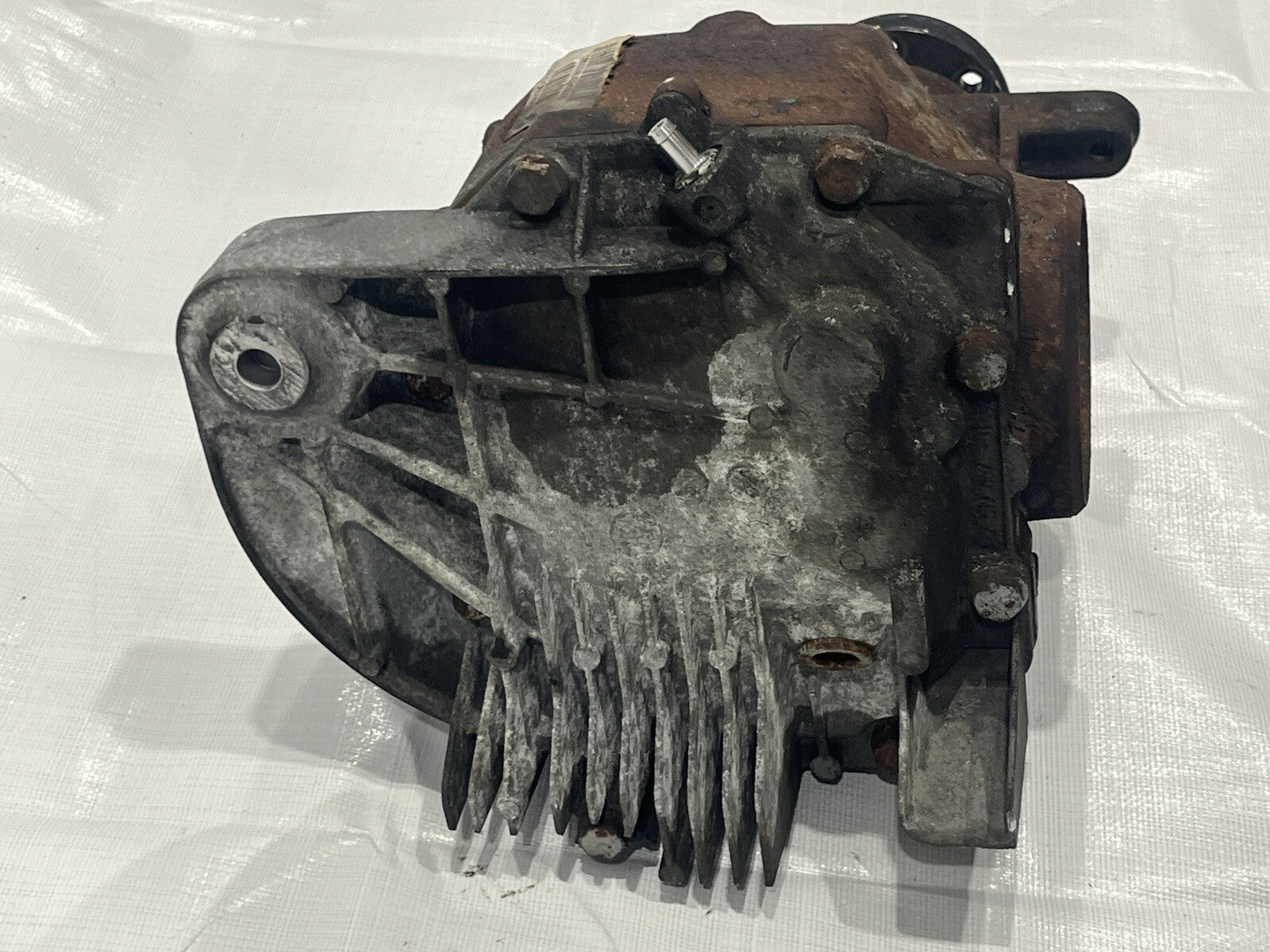 Image #4