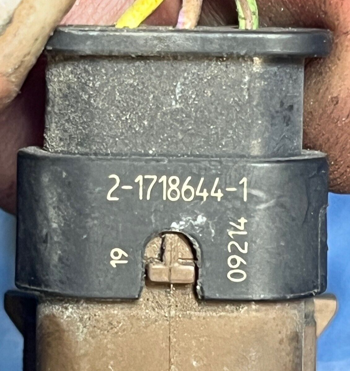 Image #5