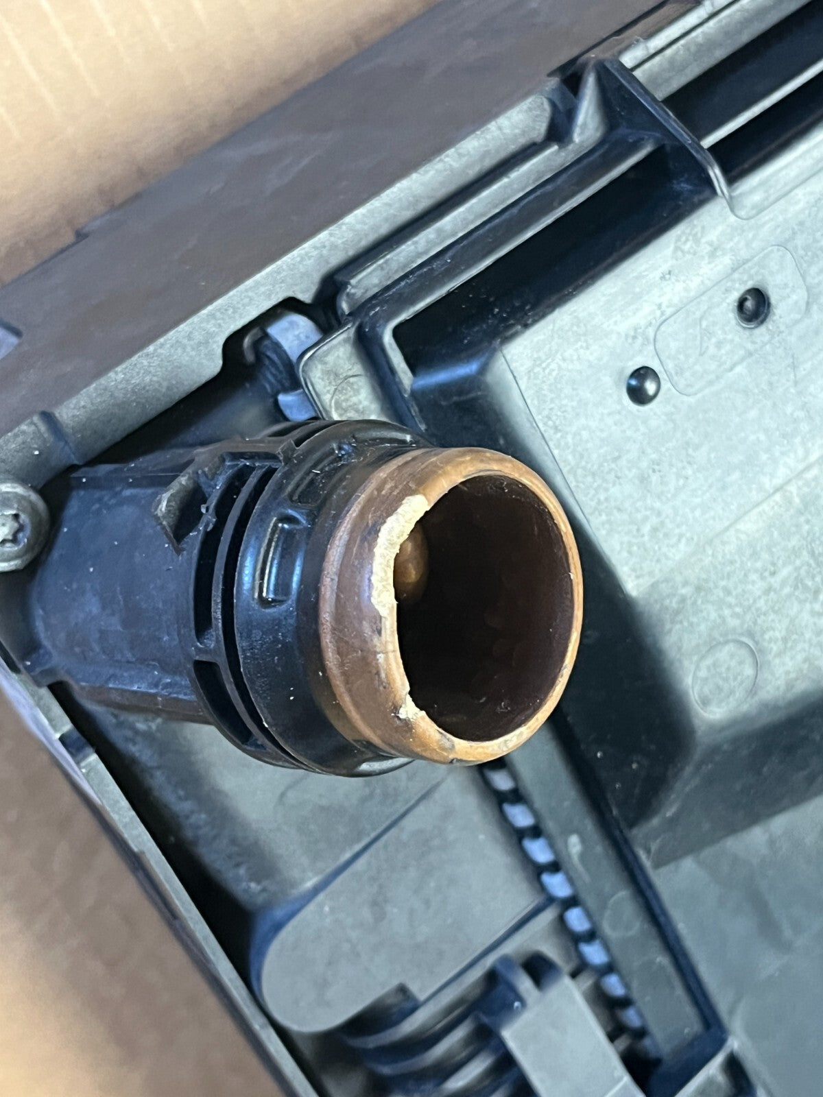 Image #12