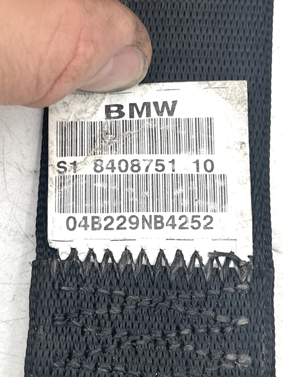 Image #11