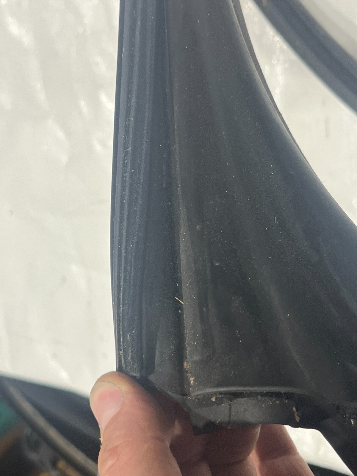 Image #13